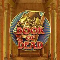 Book of Dead slot by Play'n GO